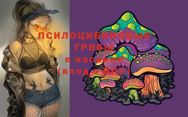 бутират Верхний Тагил