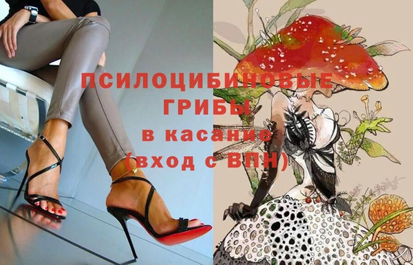 MESCALINE Верея