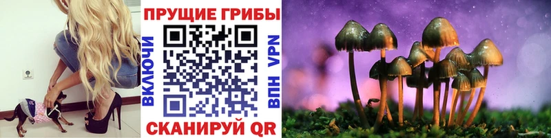 Псилоцибиновые грибы мицелий  где можно купить наркотик  МЕГА онион  Карпинск 